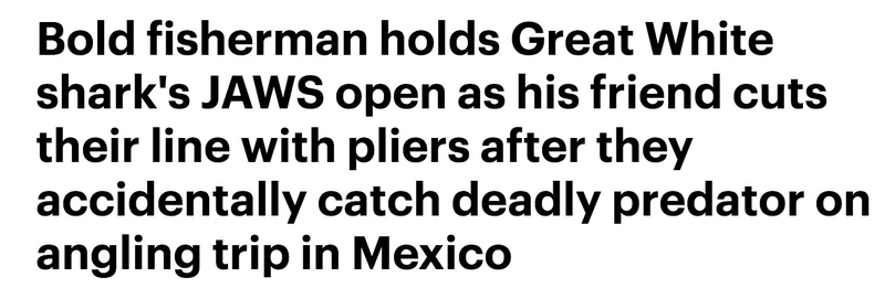 Via Daily Mail